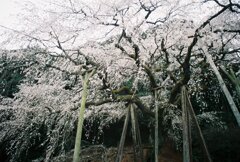 フィルムプロジェクトその１０