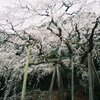 フィルムプロジェクトその１０