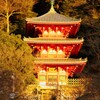 黄金色に輝く