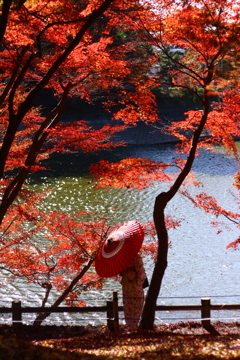 紅葉さん