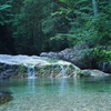 癒やしの水辺