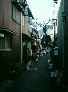 松應寺横丁路地裏