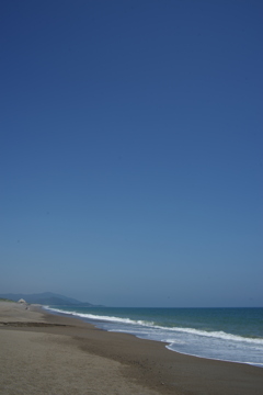夏の海
