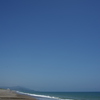 夏の海
