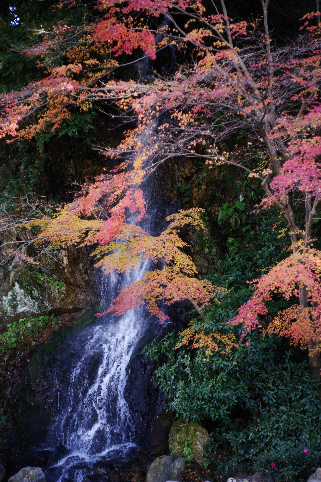 御手洗の滝