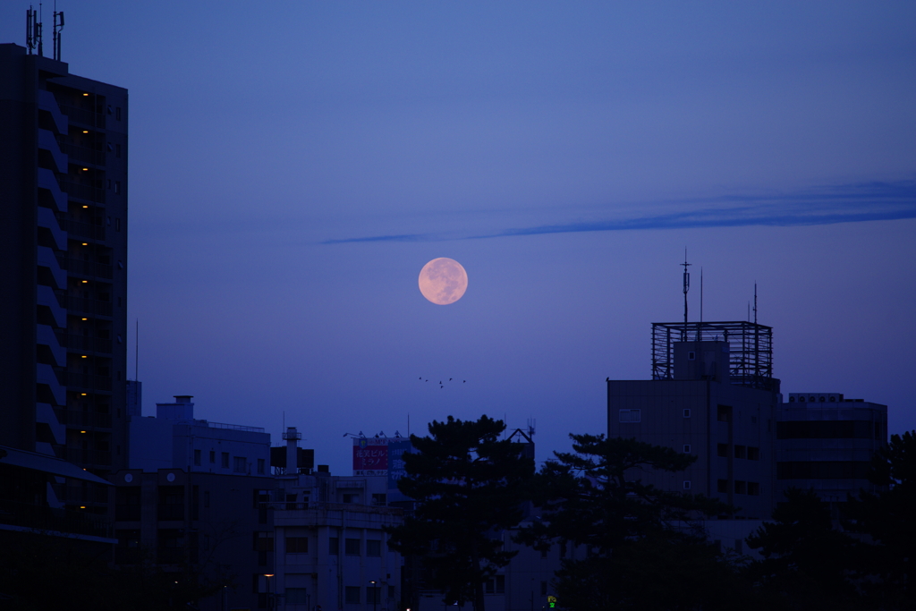 朝も早よから月の写真を撮りまくる～