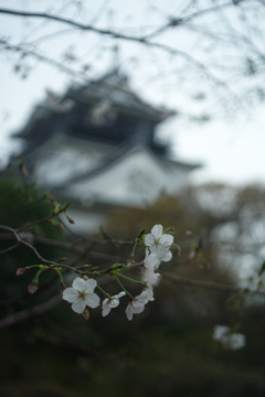 春はすぐそこまで来てる