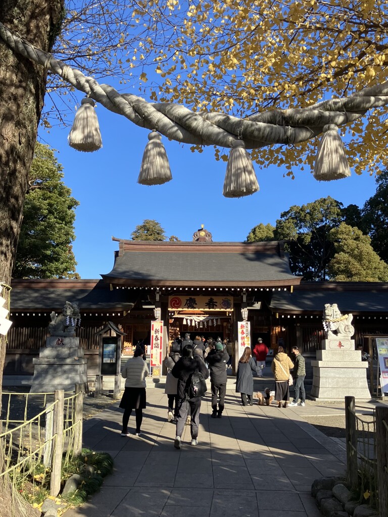 あけましておめでとうございます