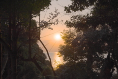 Morning Sunlight