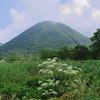 山と白い花