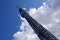 ミニチュア