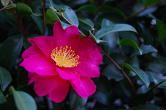 冬本番