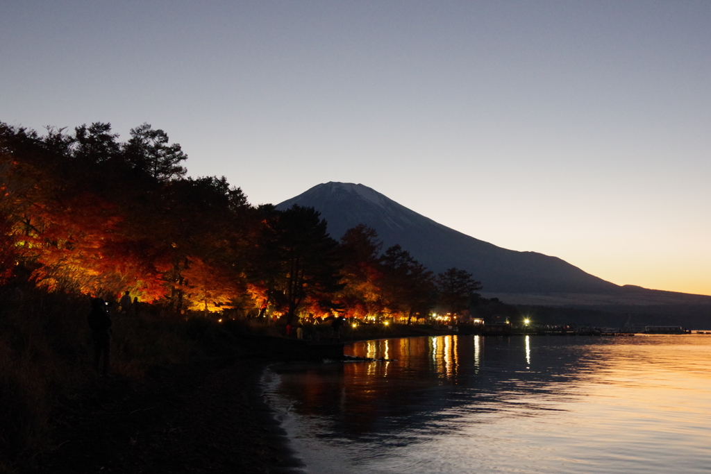 紅葉まつり