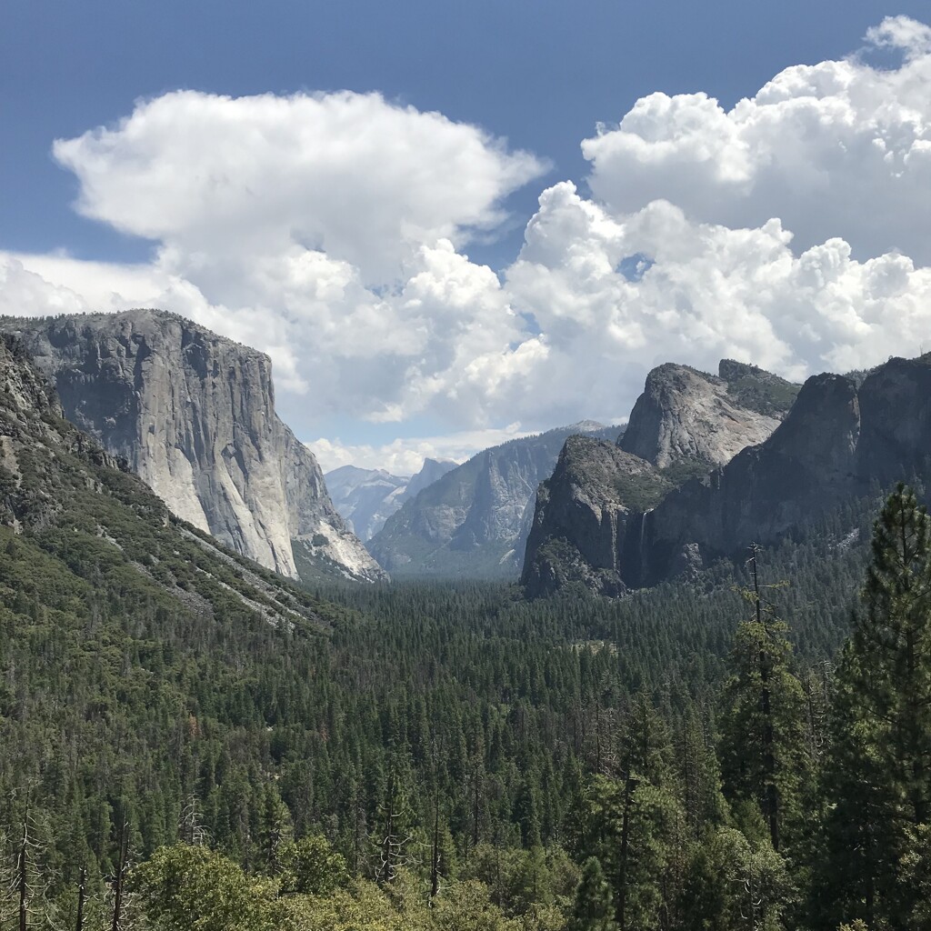 Yosemite NP: Tunnel View