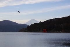 上空に
