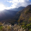 秋を照らす