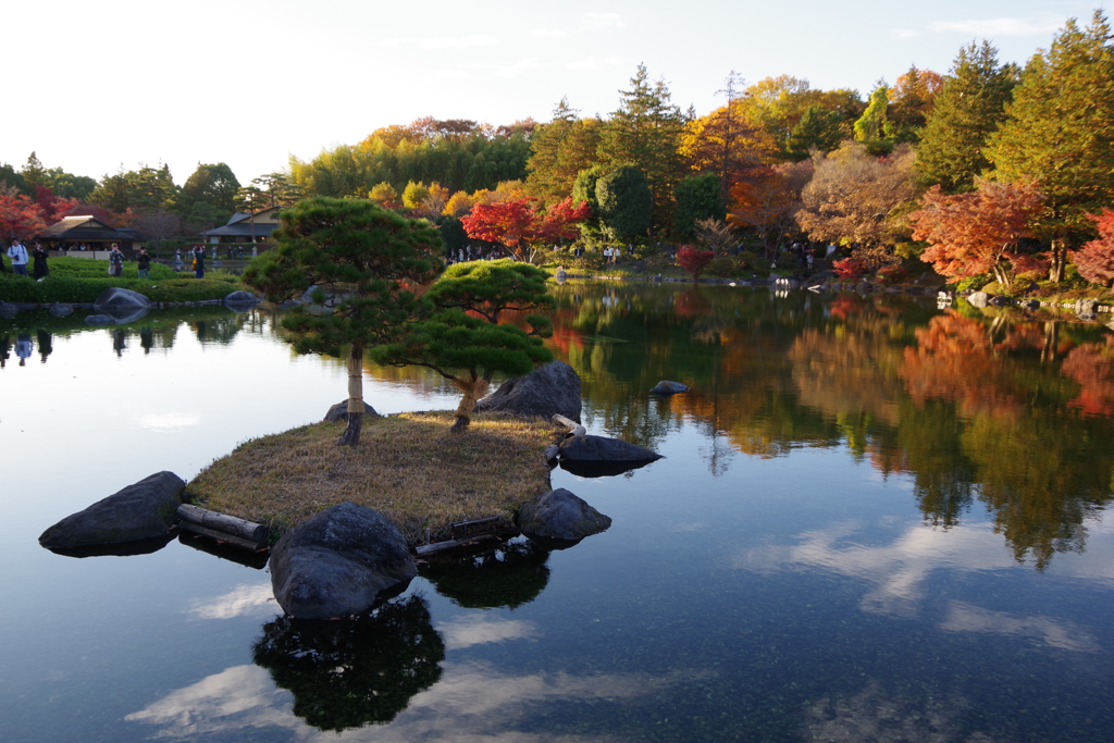 大きな亀の居る池