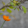 秋へと