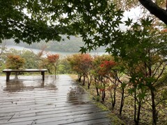 雨の日の湖畔のテラス