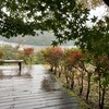 雨の日の湖畔のテラス