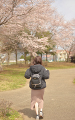 妻と桜