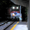 大井川鉄道　奥泉駅