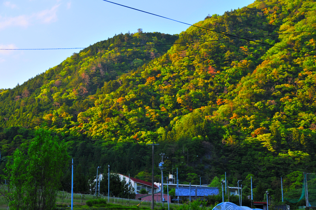 奥泉駅付近の風景