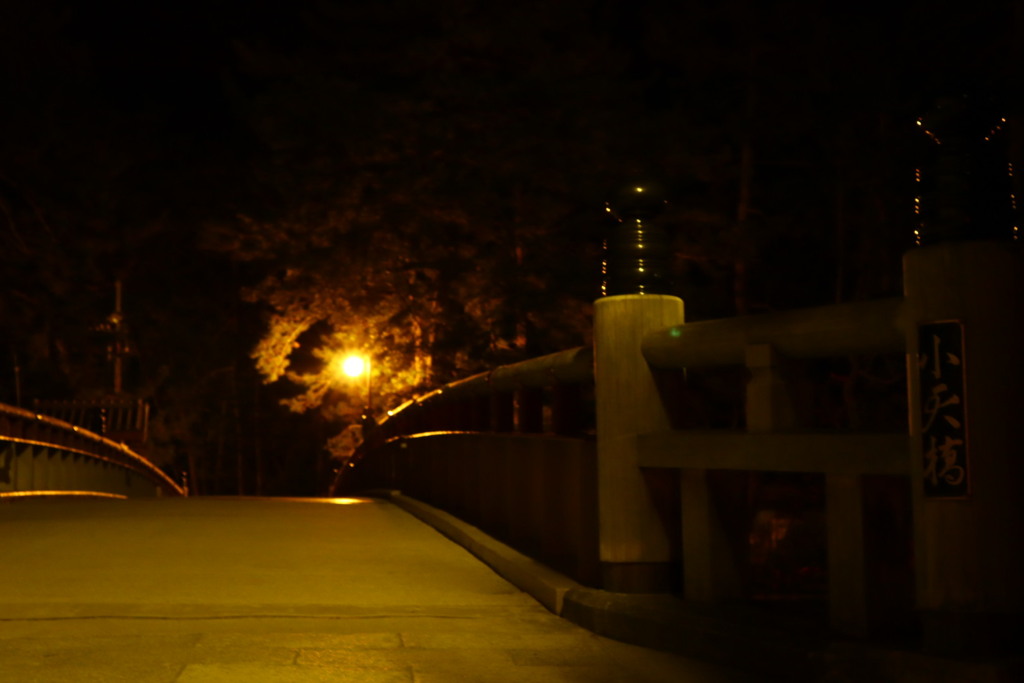松並木入る前の橋
