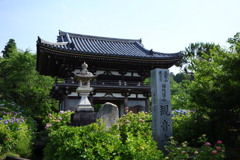 観音寺