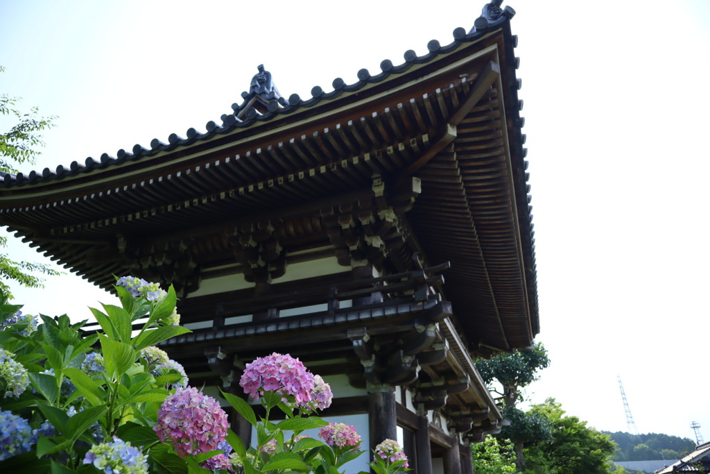 観音寺