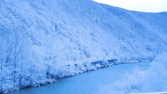 B372E2D3-6D3E-406A-A40A-2983C2C40CEA