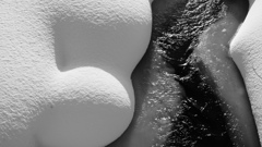 4206F961-7B6E-490B-B2E5-2E5EF3CBF0CA