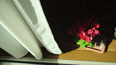 A8383E27-19AD-44FF-810A-2F051D9A7F48