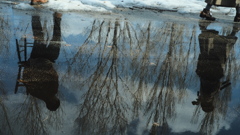 C45725BC-0824-4C3B-B5B9-8F7717D5D146