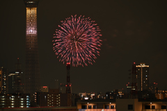 墨田区花火大会①