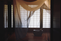 禅