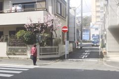 あの日に咲く