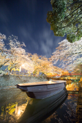 水門川夜桜景４