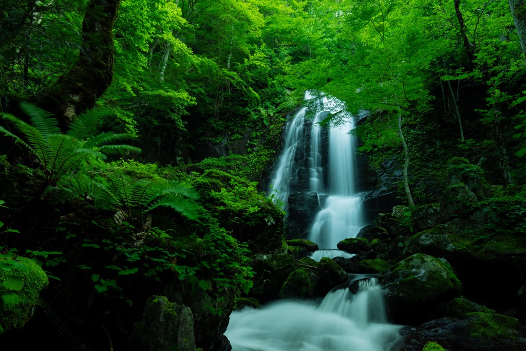 宇津江四十八滝　大滝