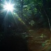 昼下がりの登山道