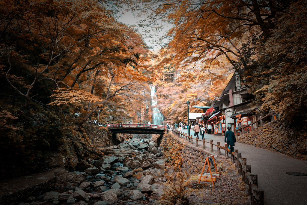 紅葉と滝