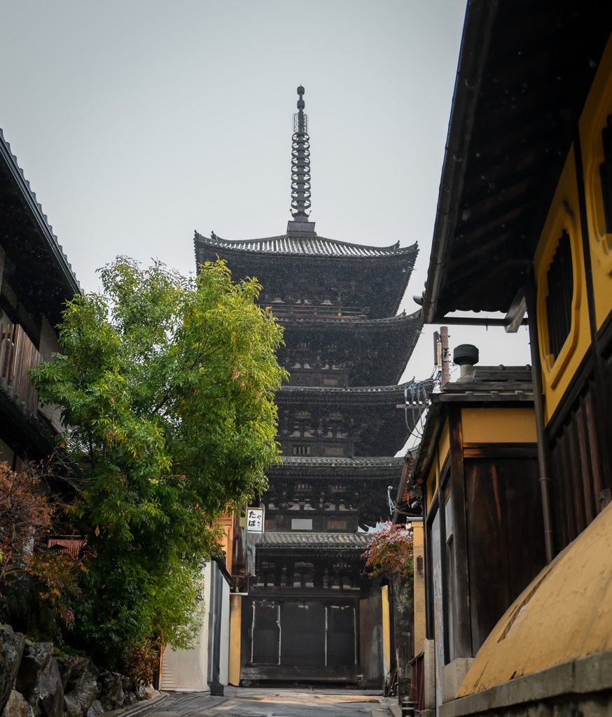 雨の八坂の塔