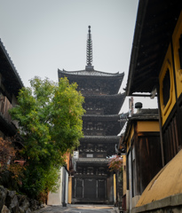 雨の八坂の塔