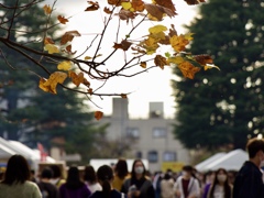 学園祭
