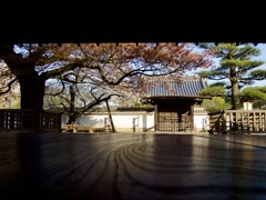 弘道館
