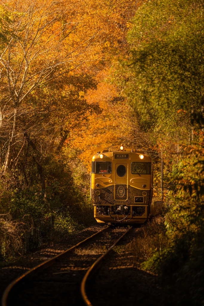 或る列車