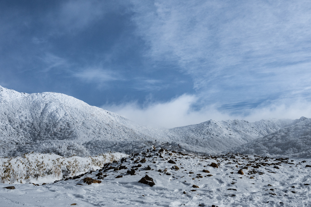 雪原