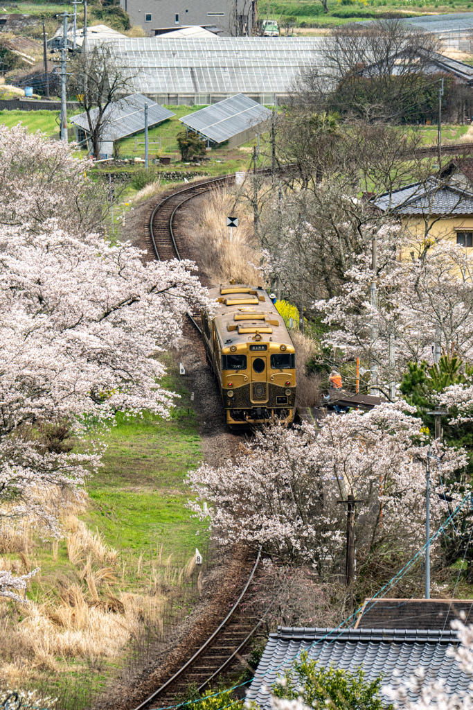 或る列車