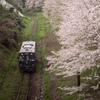 春列車