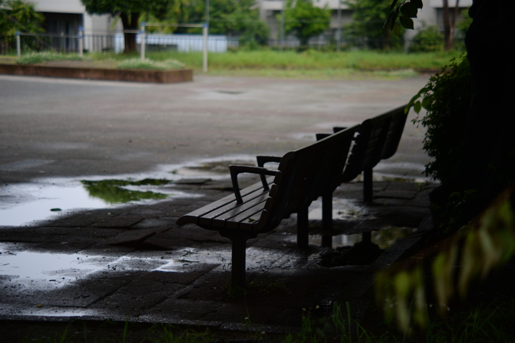 雨の日